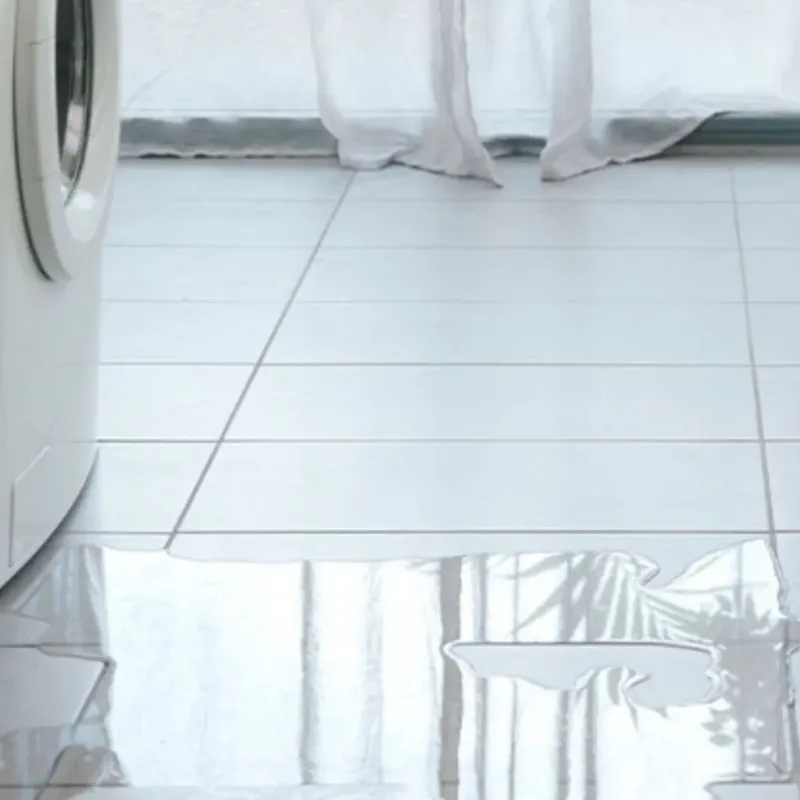 Appliance Leak Cleanup in Key Biscayne, FL